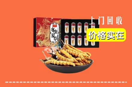 沈阳市法库回收虫草